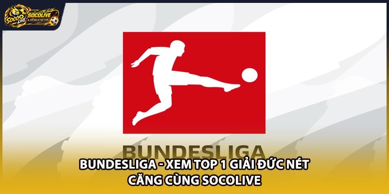 Bundesliga – Xem Top 1 Giải Đức Nét Căng Cùng Socolive